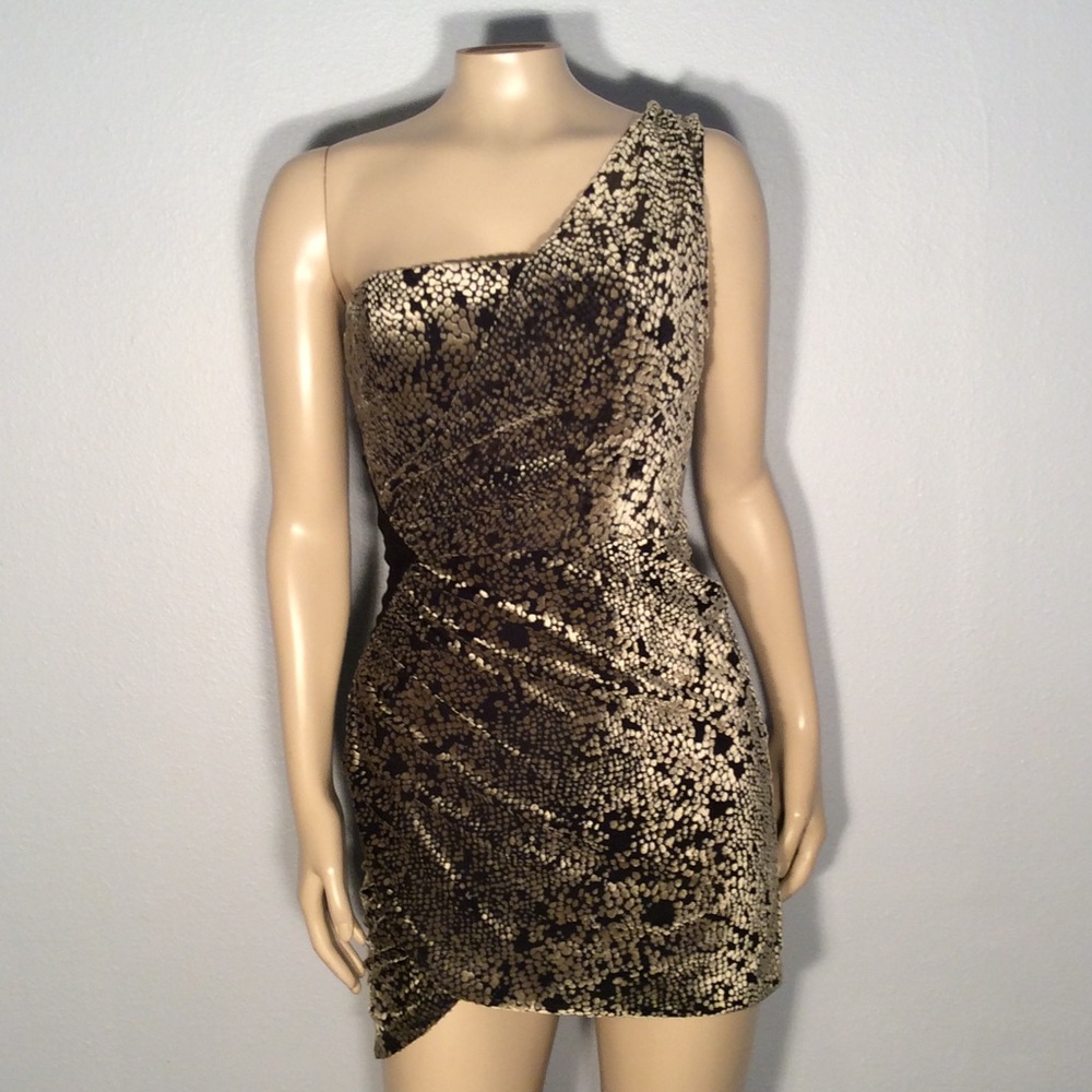 * Silence + Noise dress